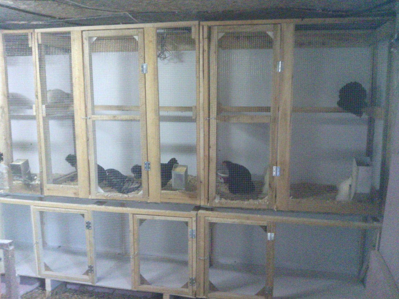Modules d'habitation pour poules